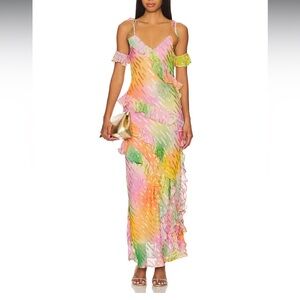 Never Fully Dressed Multicolor Ruffled Maxi Dress